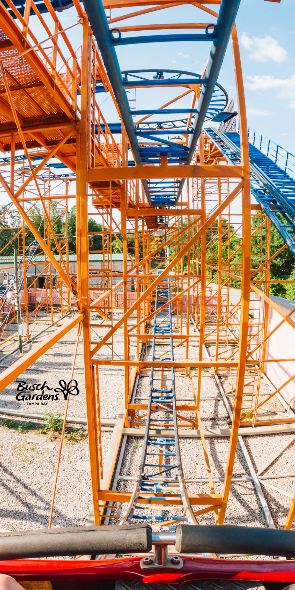SandSerpent at Busch Gardens Tampa Bay.