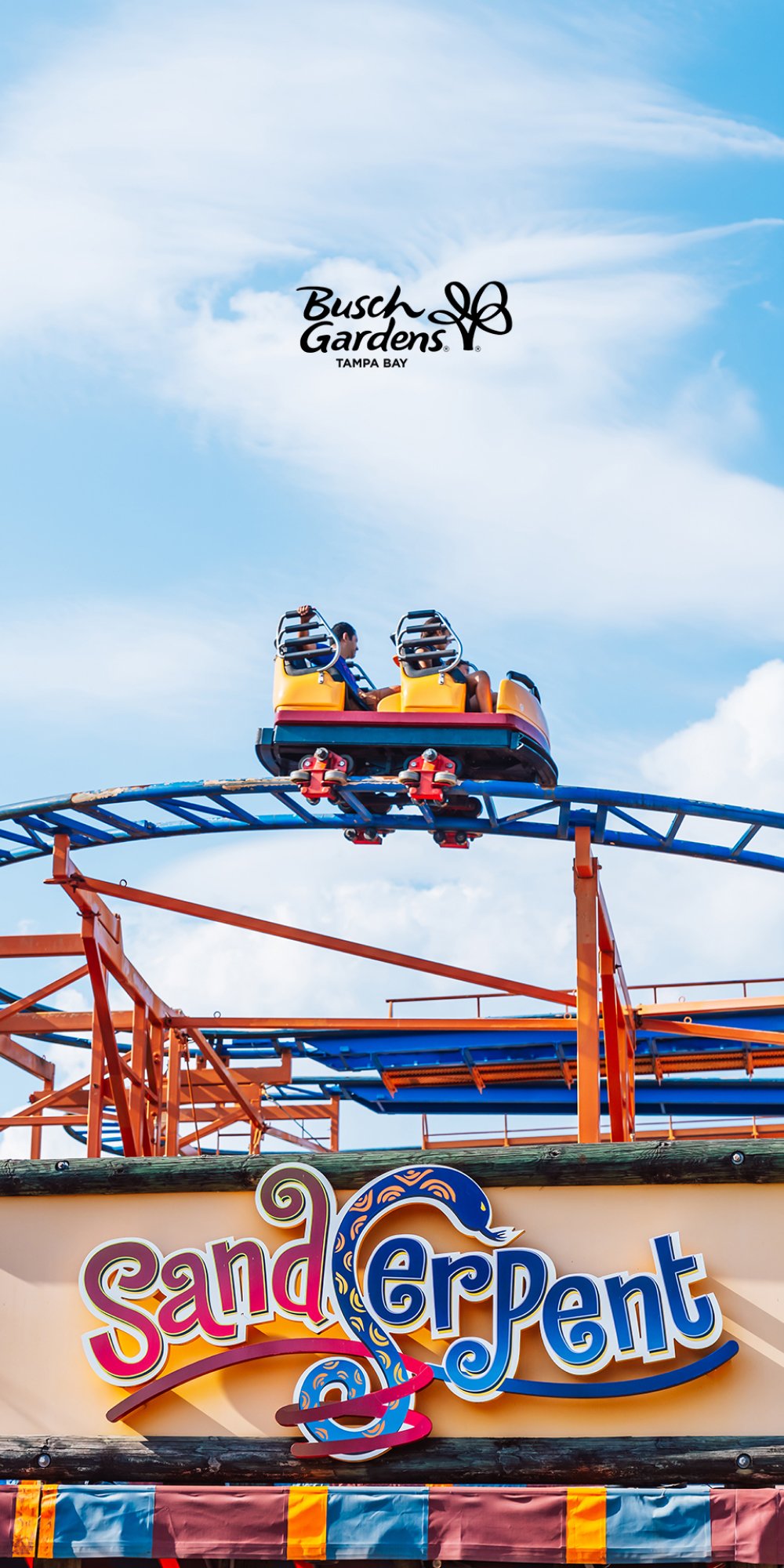 SandSerpent at Busch Gardens Tampa Bay.