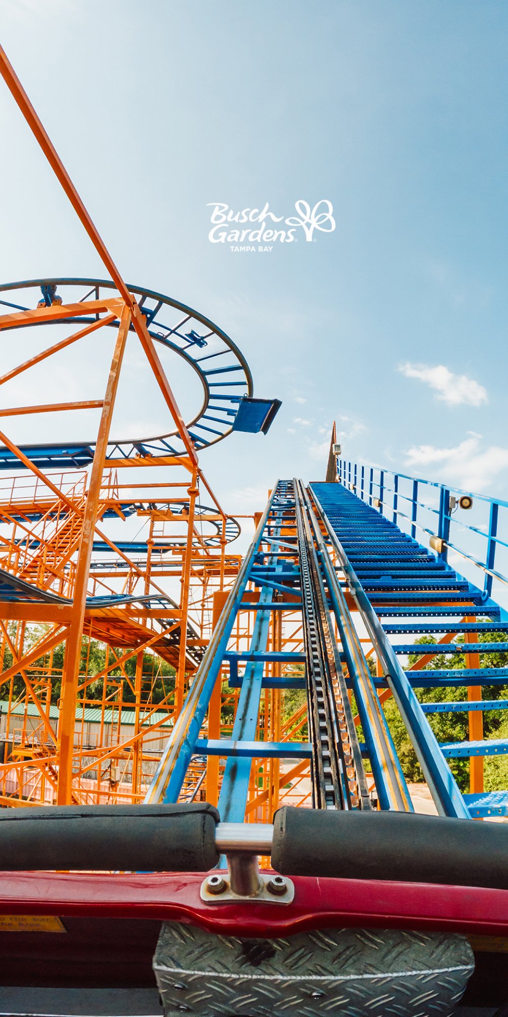 SandSerpent at Busch Gardens Tampa Bay.