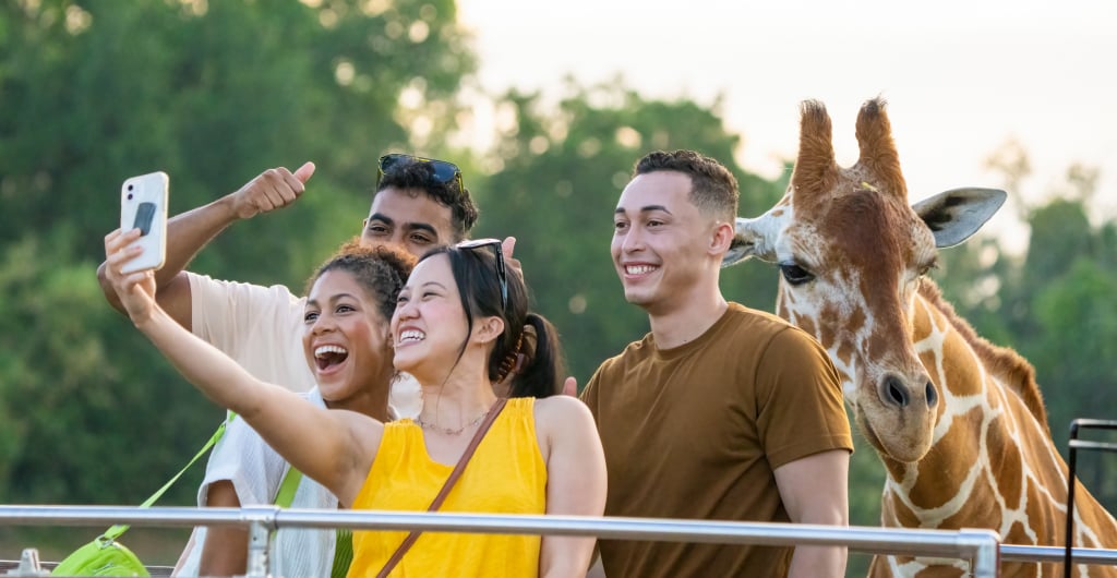 Group Events at Busch Gardens Tampa Bay.