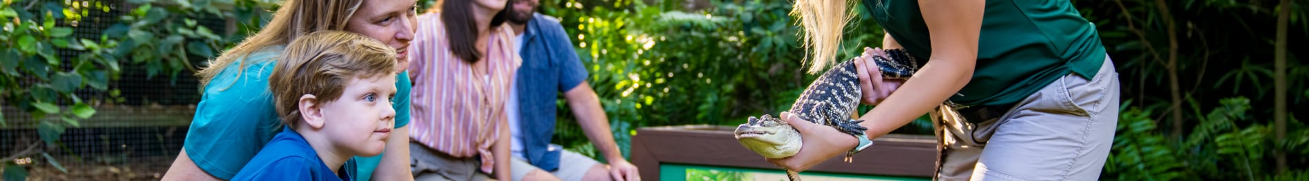Animal Connections at Busch Gardens Tampa Bay.