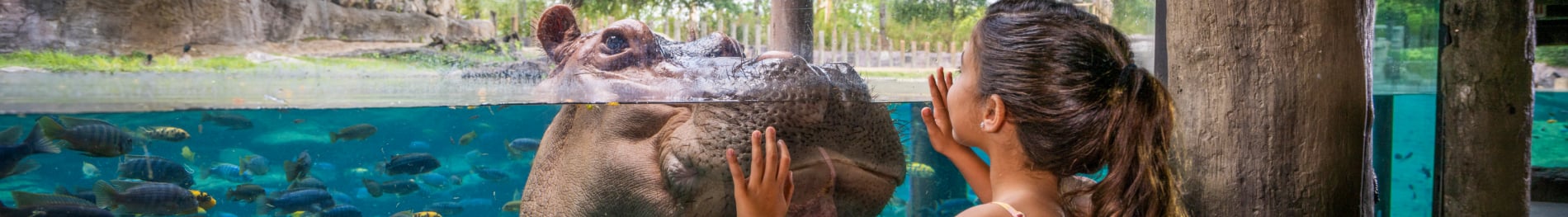 Educational Programs at Busch Gardens Tampa Bay.
