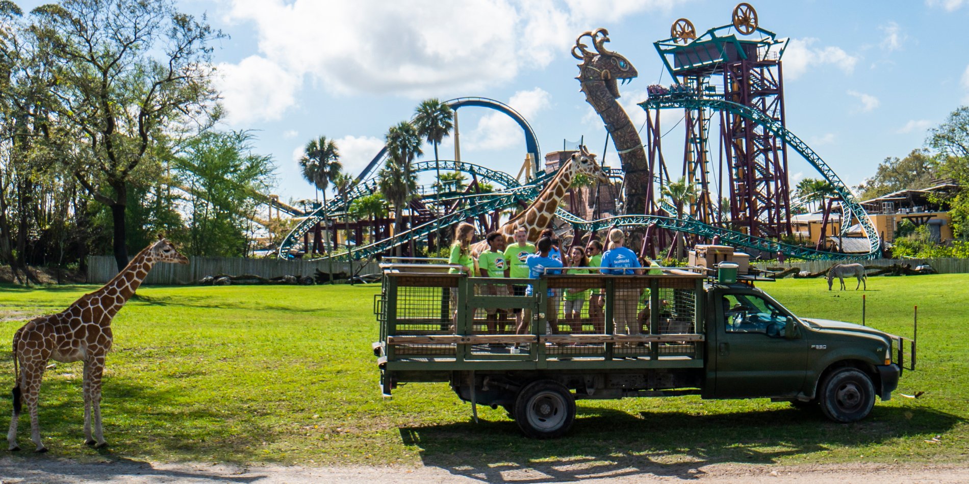 Busch Gardens Tampa Bay Day Camp on a Safari