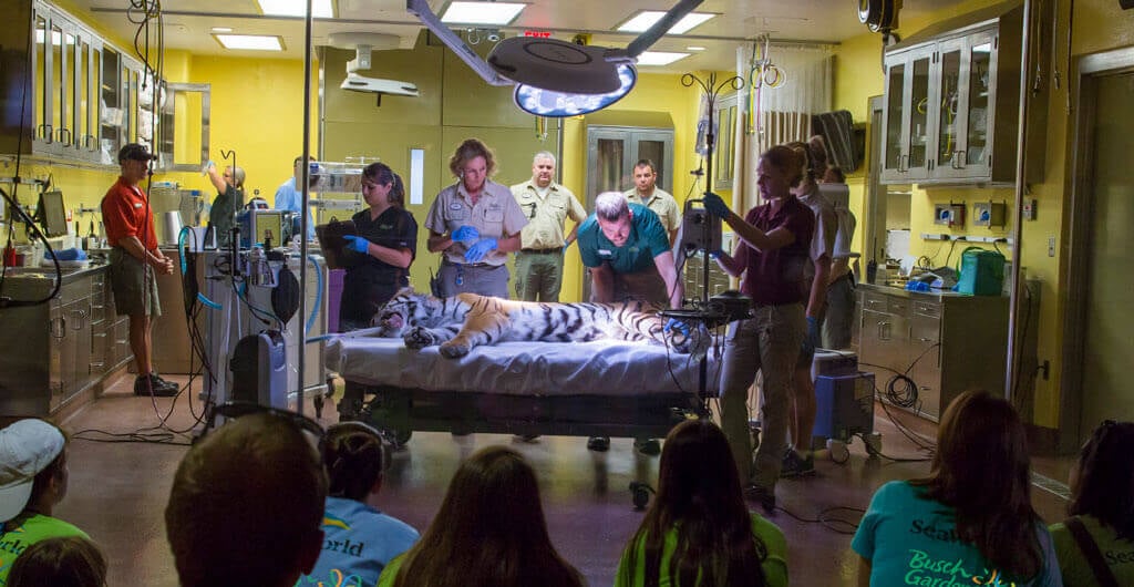 Animal Care Center at Busch Gardens Tampa Bay