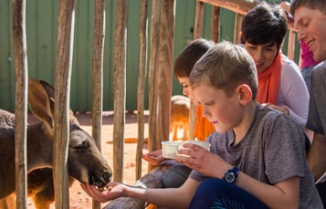 Kangaloom at Busch Gardens Tampa Bay