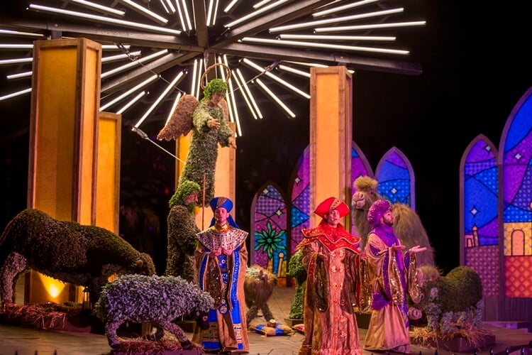 Three Kings at Busch Gardens Tampa Bay