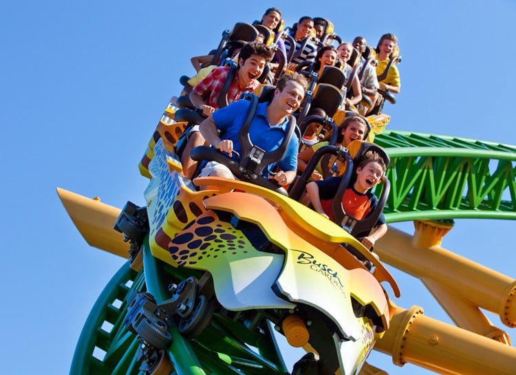 Cheetah Hunt at Busch Gardens Tampa Bay