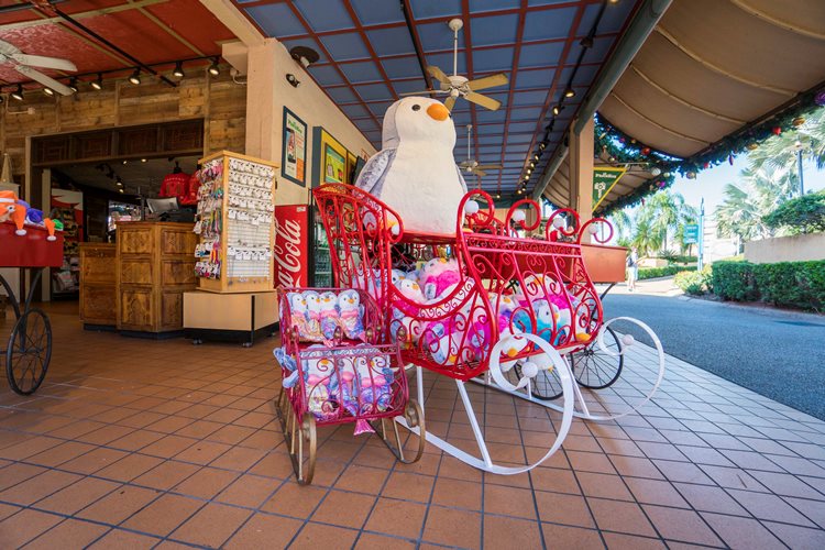 Sled at Busch Gardens Tampa Bay