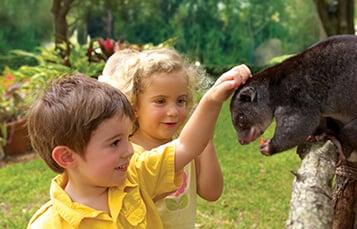 K-2 Day Camps at Busch Gardens Tampa Bay