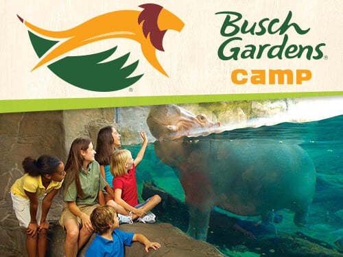 Natures Naviagators Camp at Busch Gardens Tampa Bay