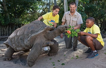 Camp Combos at Busch Gardens Tampa Bay