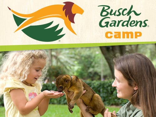 Planet Patrollers Camp at Busch Gardens Tampa Bay