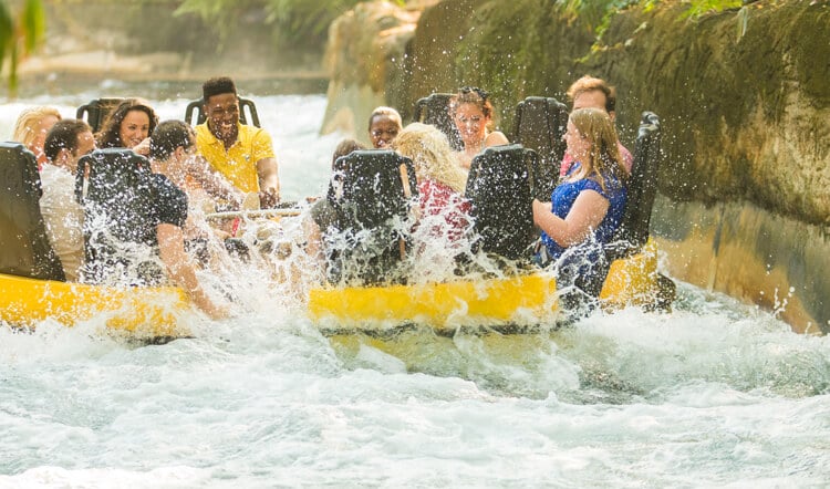 Ride Congo River Rapids at Busch Gardens Tampa Bay