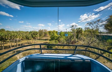 Skyride at Busch Gardens Tampa Bay