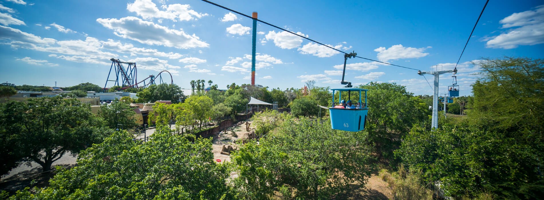 Skyride at Busch Gardens  Tampa Bay