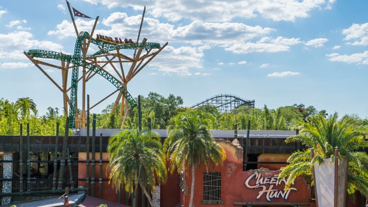 Ride Cheetah Hunt at Busch Gardens Tampa Bay