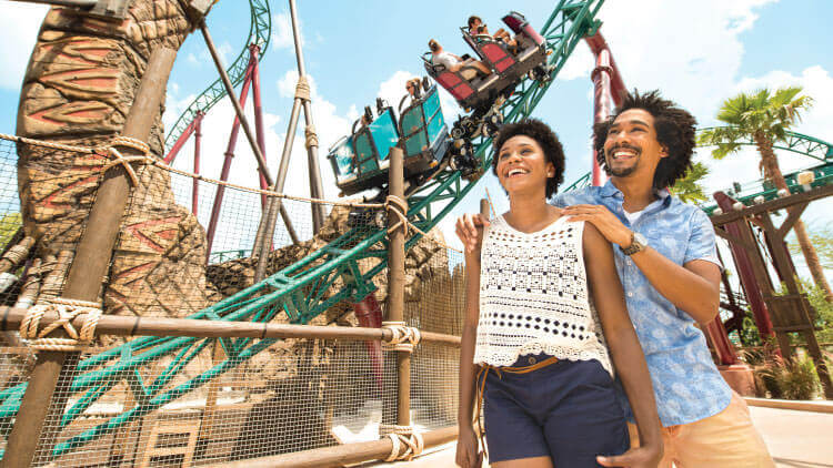 Ride Cobra's Curse at Busch Gardens Tampa Bay