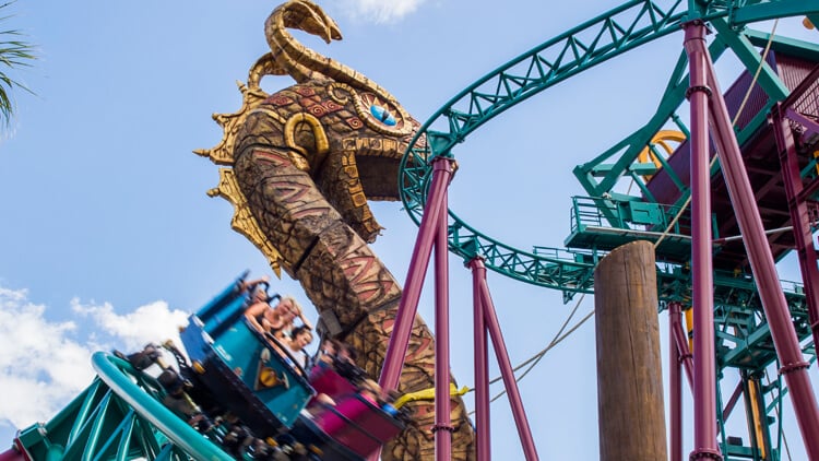Ride Cobra's Curse at Busch Gardens Tampa Bay