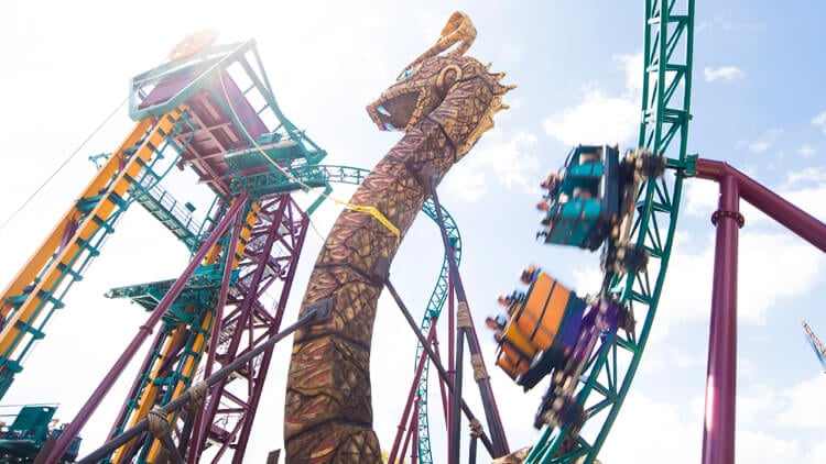 Ride Cobra's Curse at Busch Gardens Tampa Bay