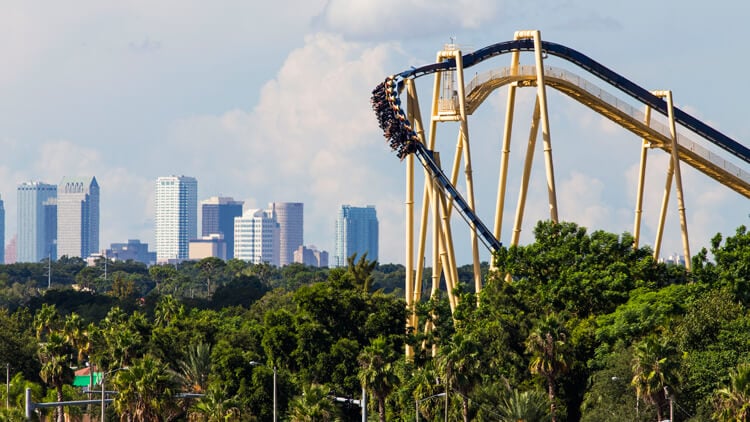 Ride Montu at Busch Gardens Tampa Bay