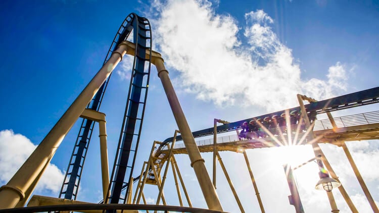 Ride Montu at Busch Gardens Tampa Bay