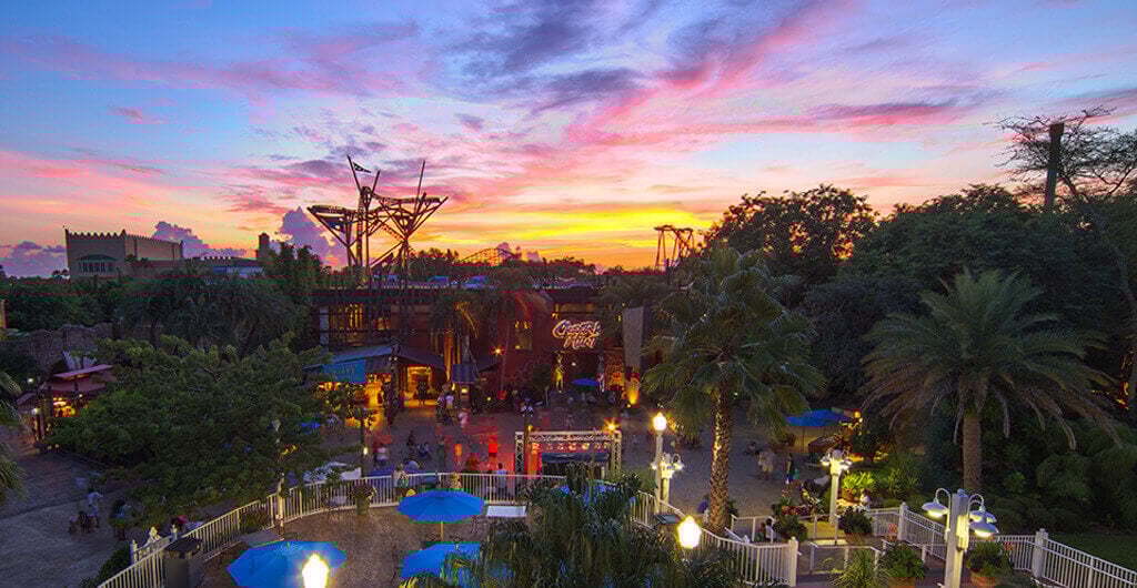 Summer Nights at Busch Gardens Tampa Bay