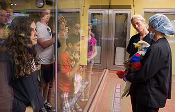 Go on the Animal Care Center Tour at Busch Gardens Tampa Bay