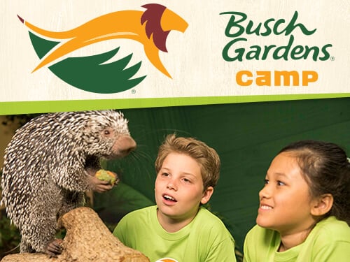 Wild Wonders Camp at Busch Gardens Tampa Bay