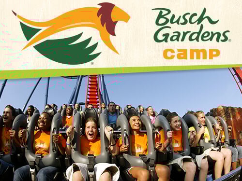 Xtreme Ventures Camp at Busch Gardens Tampa Bay