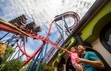 SheiKra at Busch Gardens Tampa Bay