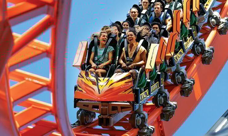 Take on Tigris in 2019 at Busch Gardens Tampa Bay. Check out this  illustration of the coaster track!