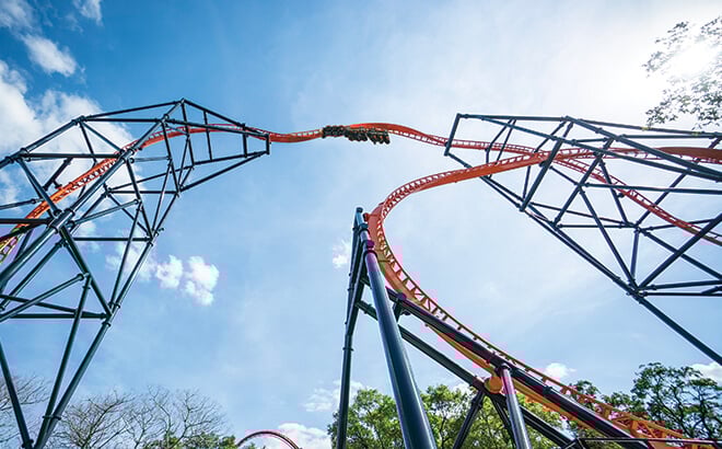 Tigris at Busch Gardens Tampa Bay. Florida's Tallest Launch Coaster.