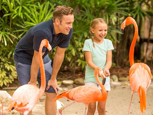 Animal Ambassador Insider Tour