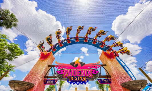 Entrance to Phoenix Rising