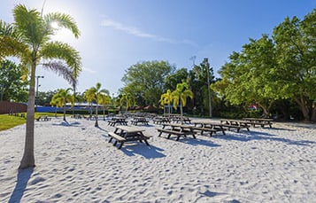 Chickee Beach Picnic Space