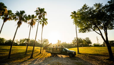 School on the Serengeti at Busch Gardens Tampa Bay.