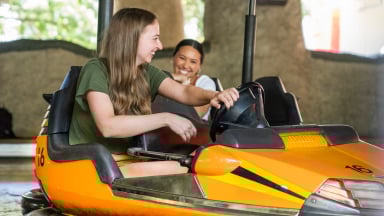 Bumper Cars at Busch Gardens Tampa Bay.