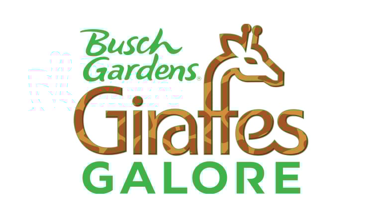 Busch Gardens Tampa Bay Giraffes Galore