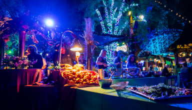 Gwazi rental area at Busch Gardens Tampa Bay.