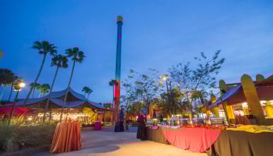 Pantopia rental area at Busch Gardens Tampa Bay.