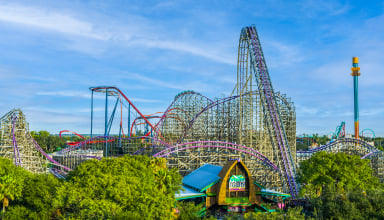 Whole park buyout at Busch Gardens Tampa Bay.