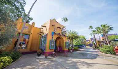 Painted Camel Bazaar