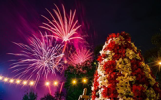 Fireworks over the Bird Gardens