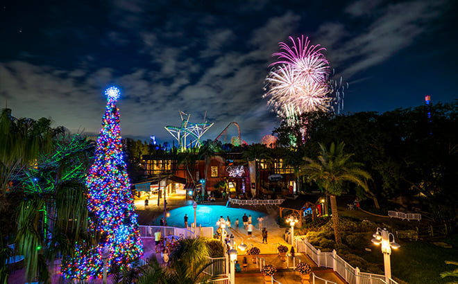 Fireworks from Cheetah Hunt Plaza