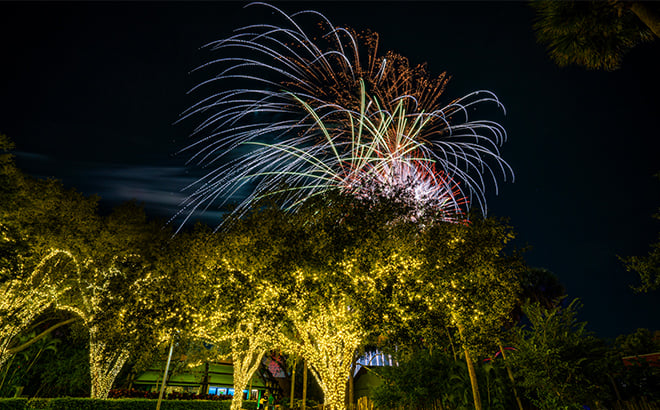 Fireworks over Pantopia