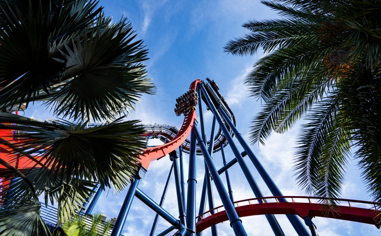SheiKra roller coaster