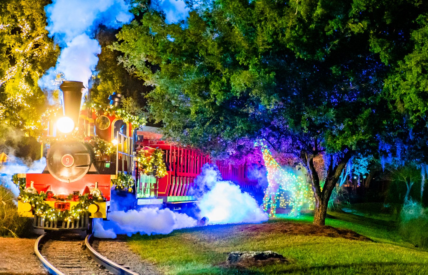 Serengeti Express during Christmas Town at Busch Gardens Tampa Bay