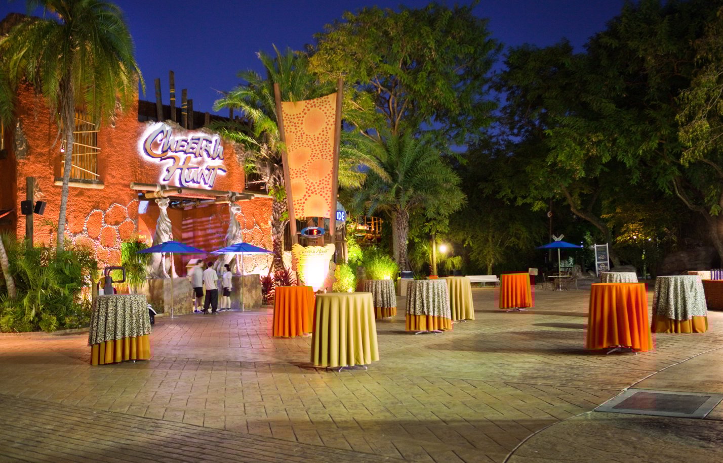Cheetah Plaza at Busch Gardens Tampa Bay