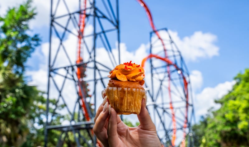 National Creamsicle Day at Busch Gardens Tampa Bay.
