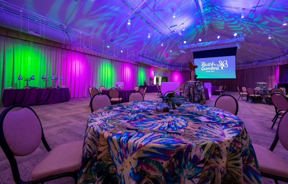 An interior shot of Gwazi Pavilion, an event venue available for your group at Busch Gardens Tampa Bay.